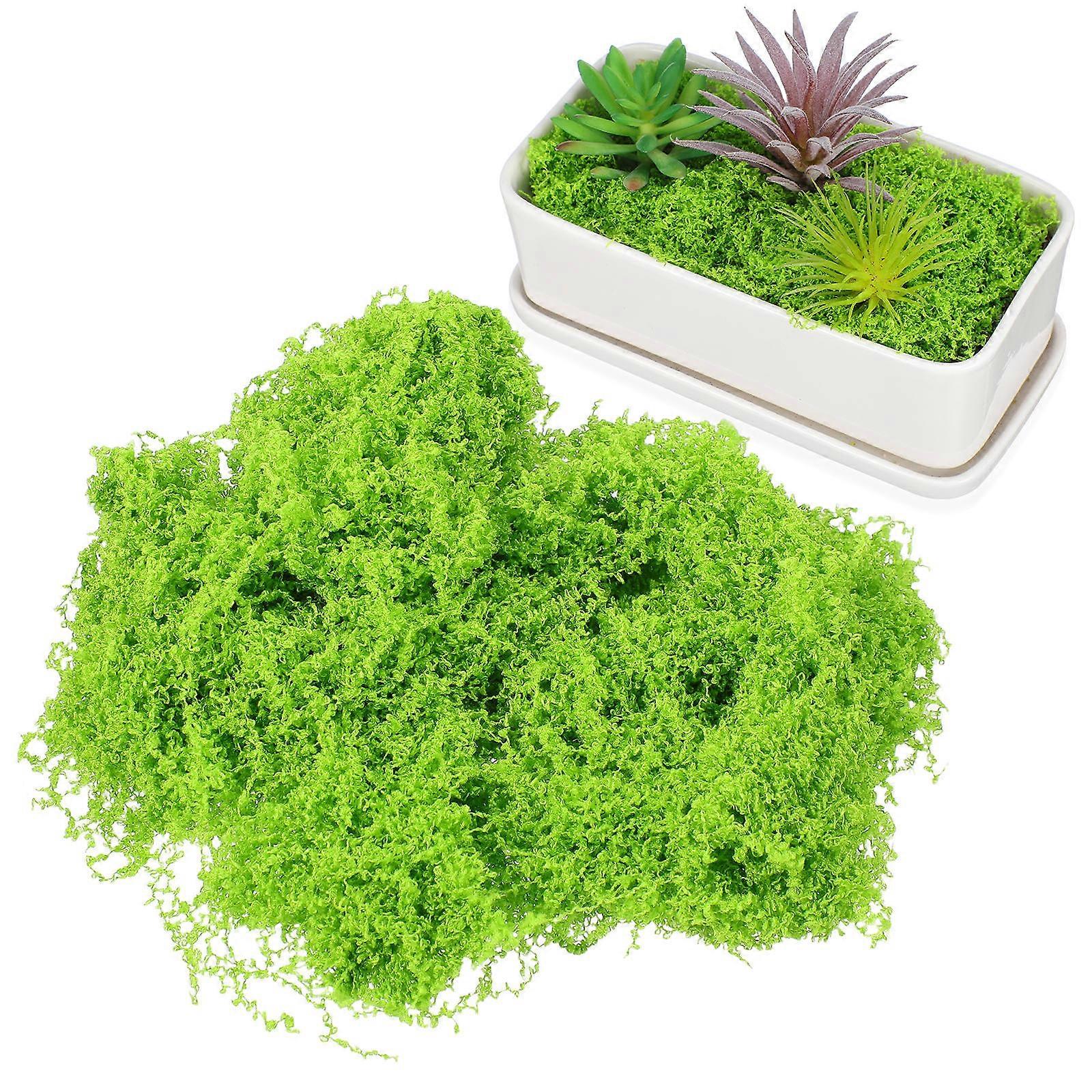 Realistic Simulation Vine Miniature Vines Model for Decor DIY Landscape
