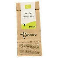 Fennel 50 g