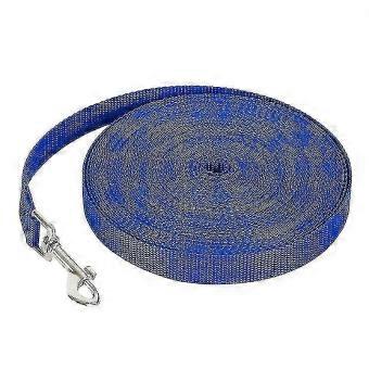 Durable Nylon Pet Dog Lead Leash for Secure Control | 2cm x 3m | Blue