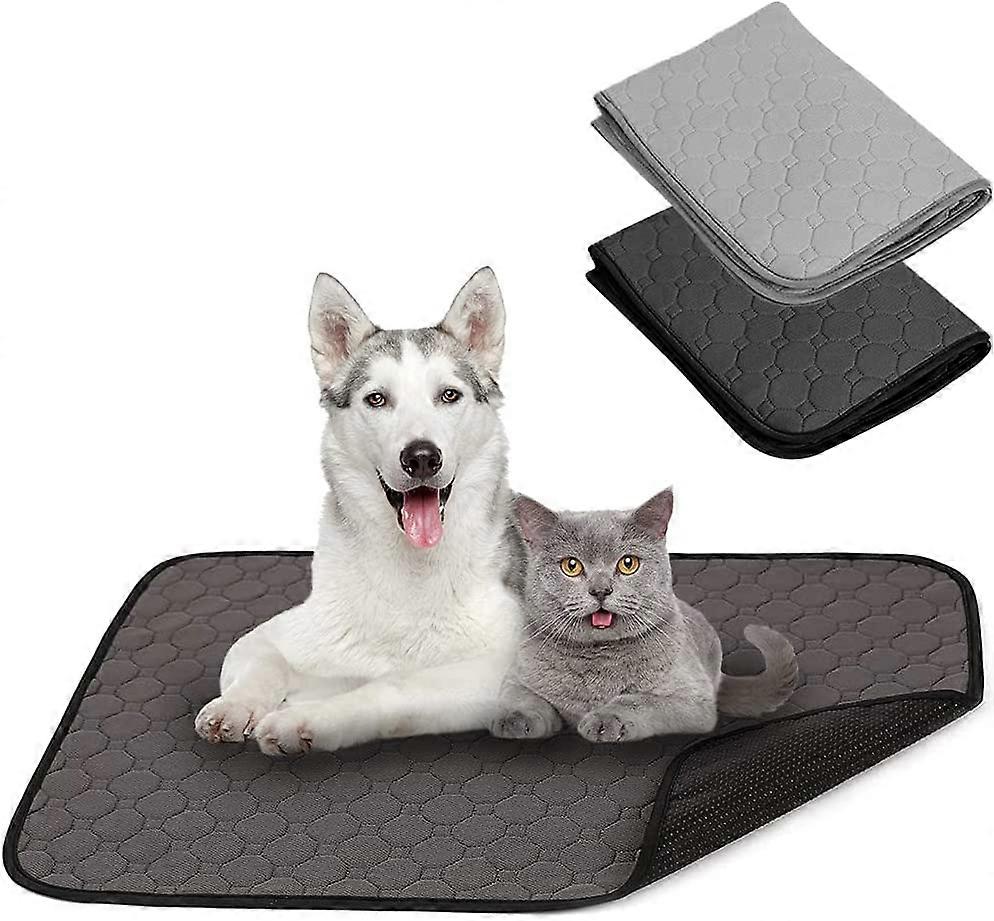 Set Of 2 Dog Training Pads Washable Reusable Absorbent Non-Slip Random Color (M)