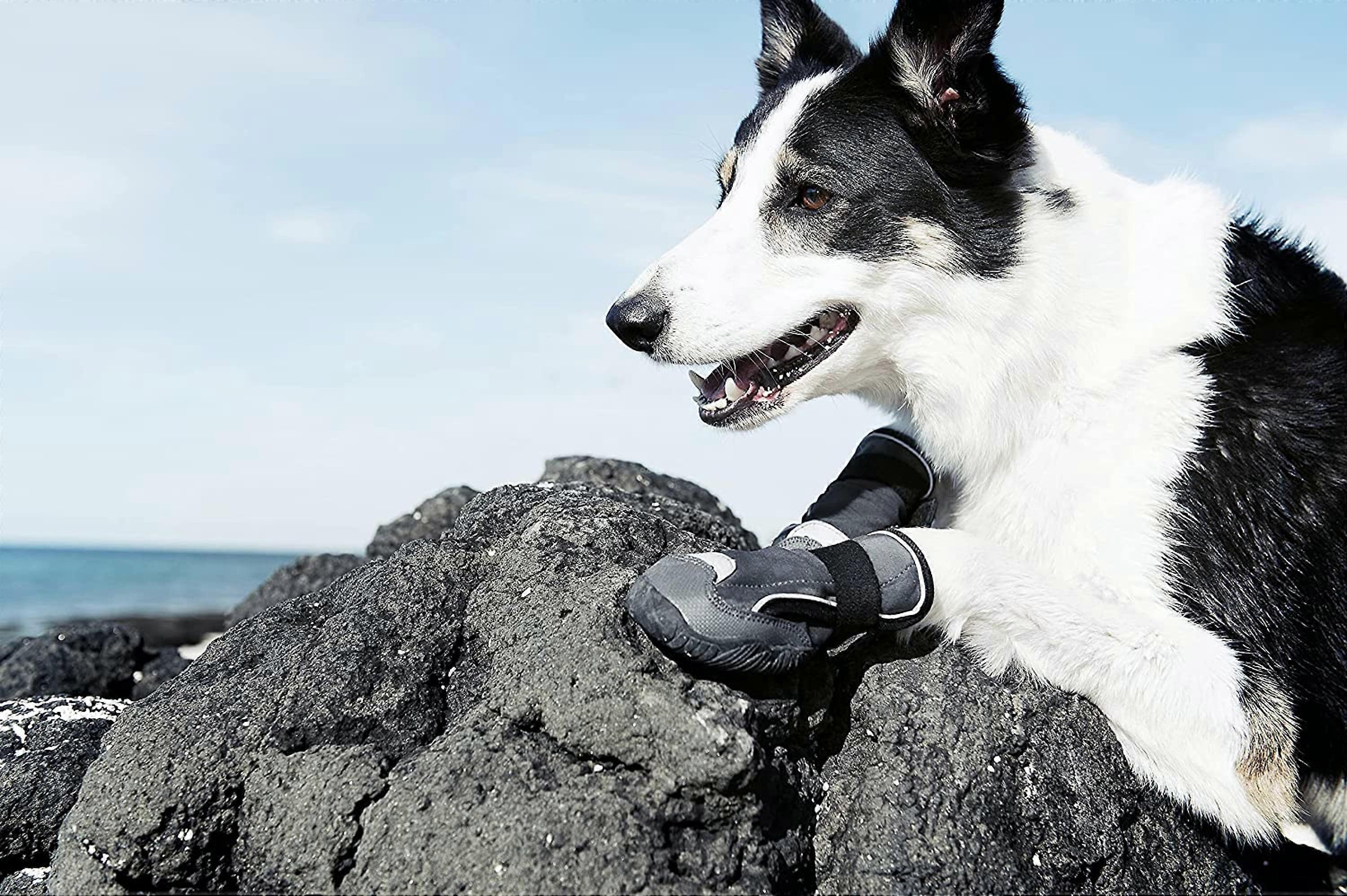 Hurtta Outback Dog Boots, Granite, inch, Pack Medium Fruugo DE