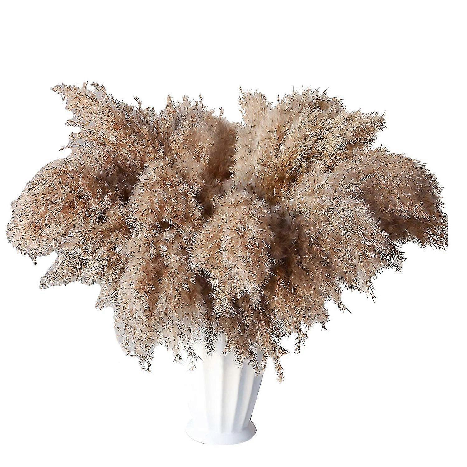 30 hastes seca Pampas grama, Wild Pampas Grass Fluffy Pampas Floral, 17 polegadas Bulk Pampas Grass Decor