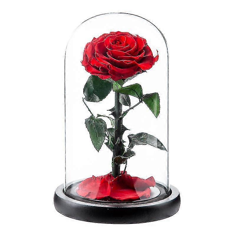 Bevarad äkta ros evig ros