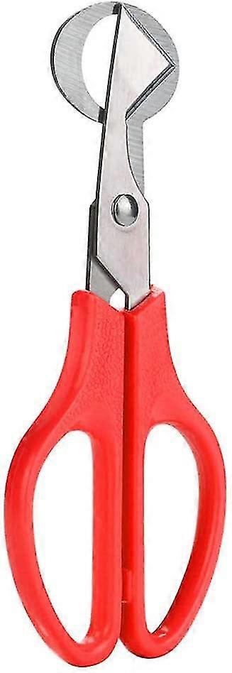 Quail Egg Scissors: Pigeon Bird Egg Cutter Opener, Stainless Steel Kitchen Tool for Precise Egg Preparation