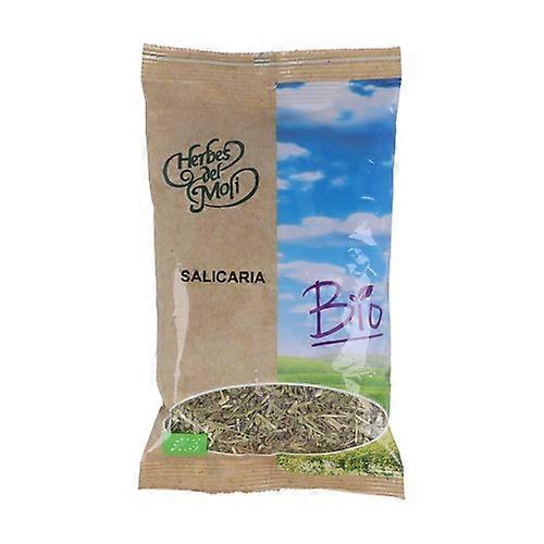 loosestrife plant eco 50 g