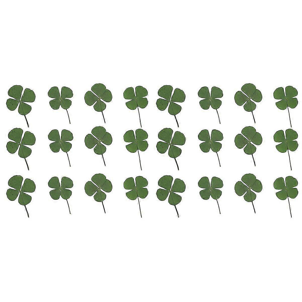 36 Pcs Lovely Four Leaf Clover Dried Clover Jewelry Accessories Diy Decoractive Materials For Necklace Earrings Bracelet (vert)