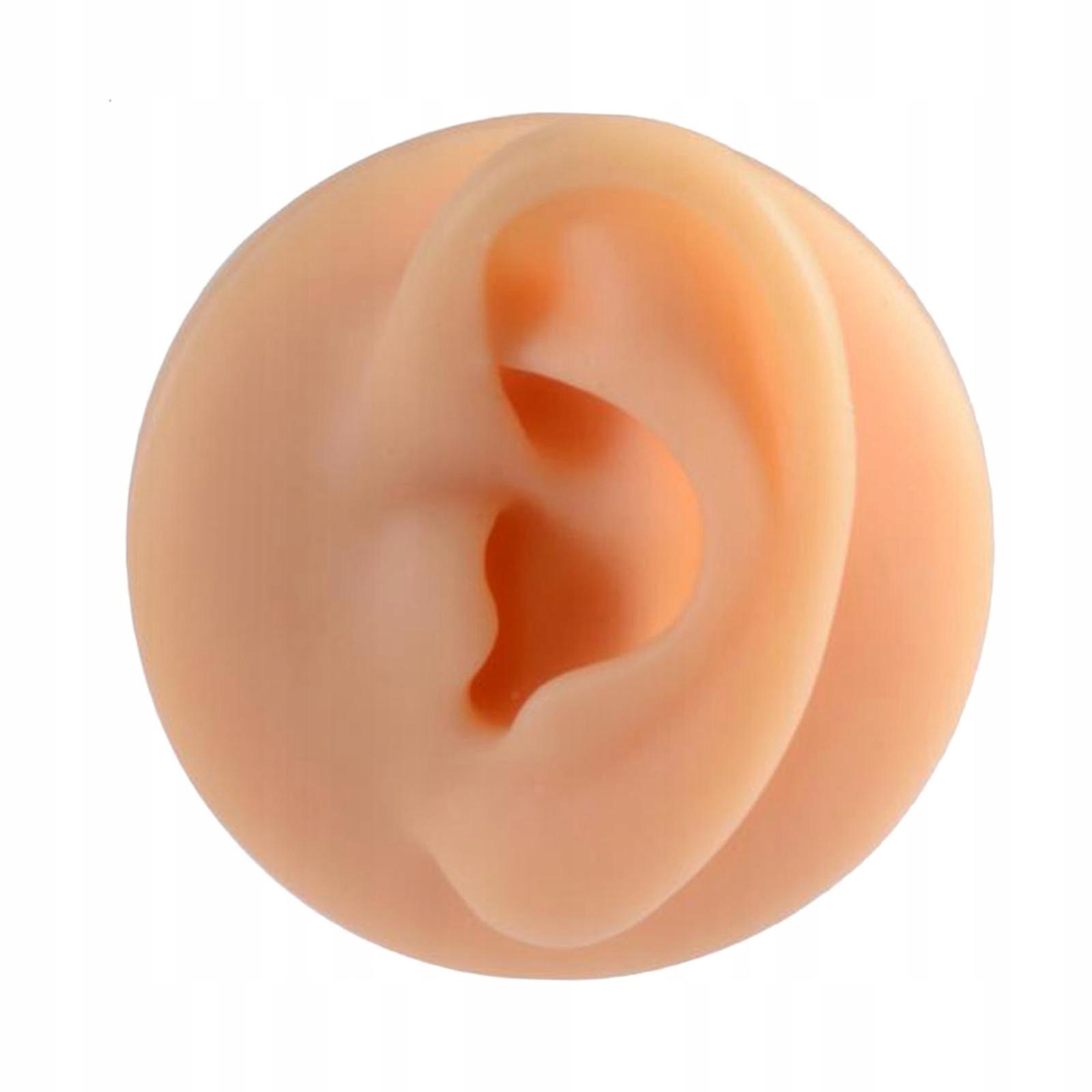 Human Model. Practical Silicone Modeling