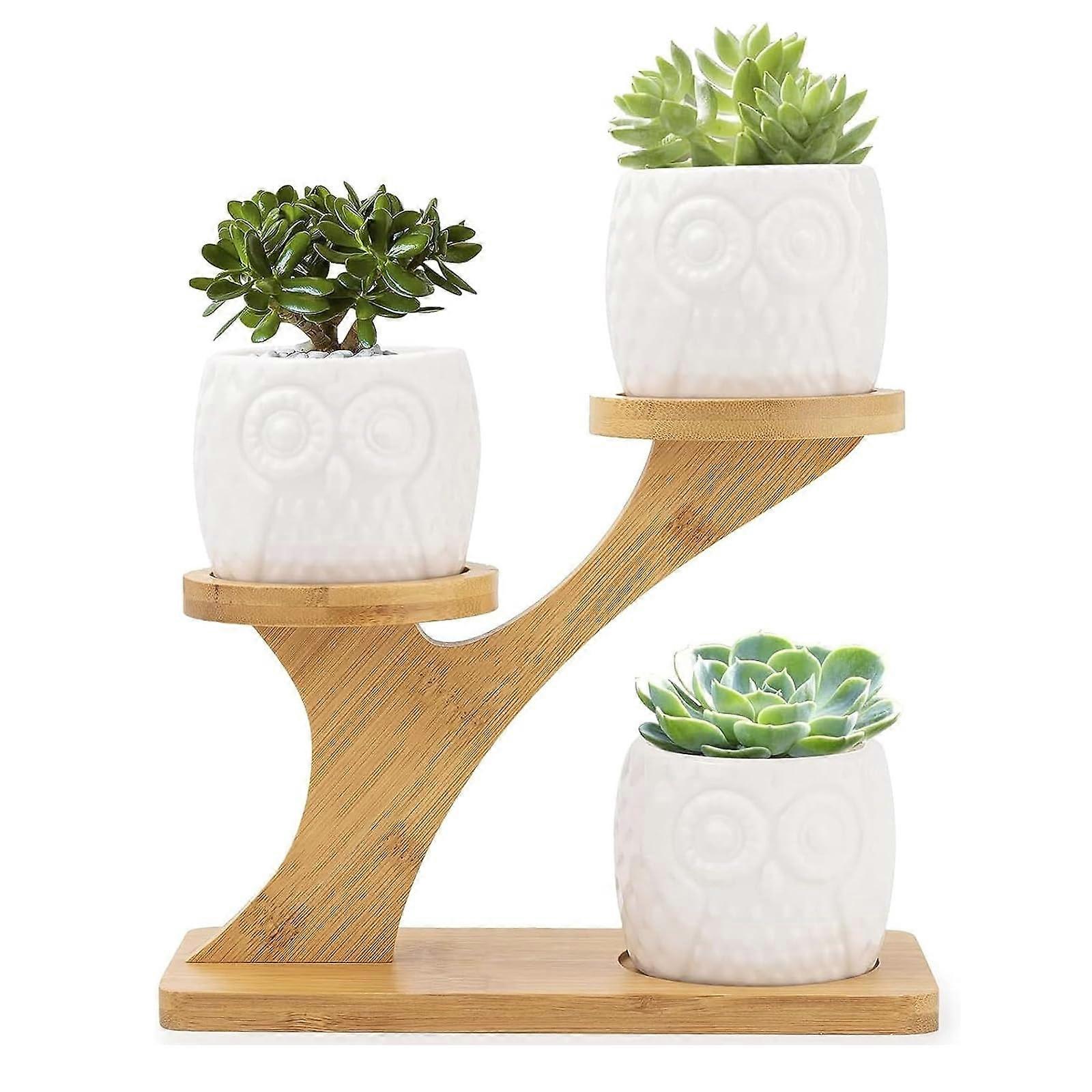 Succulent Planter with Bamboo Tray, Cactus Pot for Table and Windowsill Decor, Natural Bamboo Material, Small Size