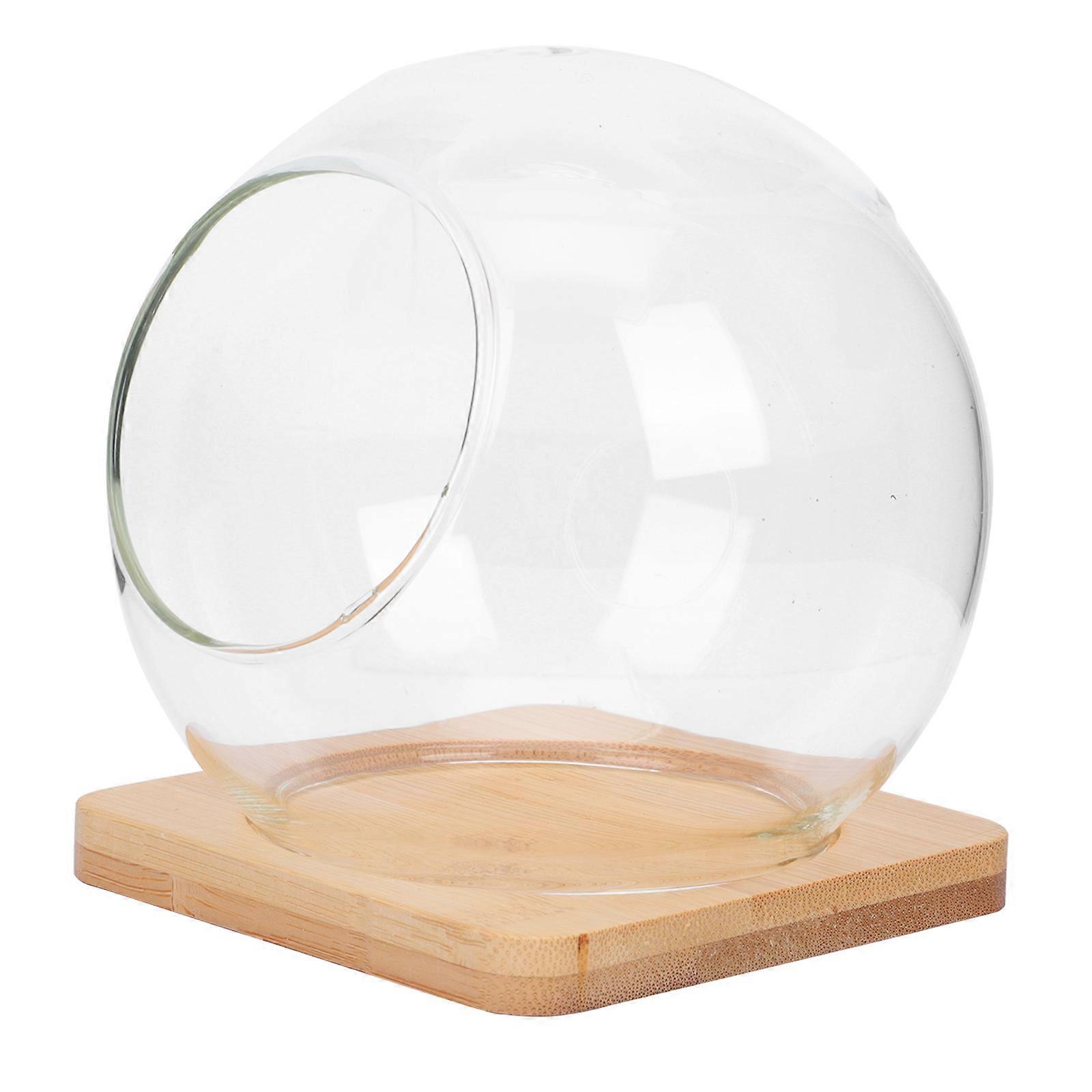 Warm Charm Terrarium Jar, Versatile Use in Bedroom and Bathroom Spaces