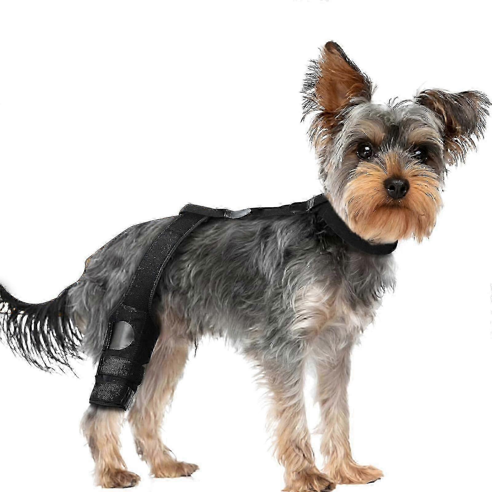 Dog Hind Leg Brace for ACL Tears Hip Support Brace Cruciate Ligament Care and Back Leg Stabilizer