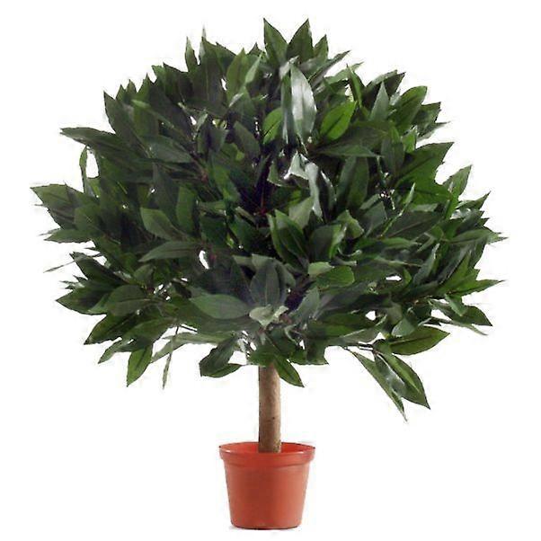 Bay Laurel ball (35 cm)
