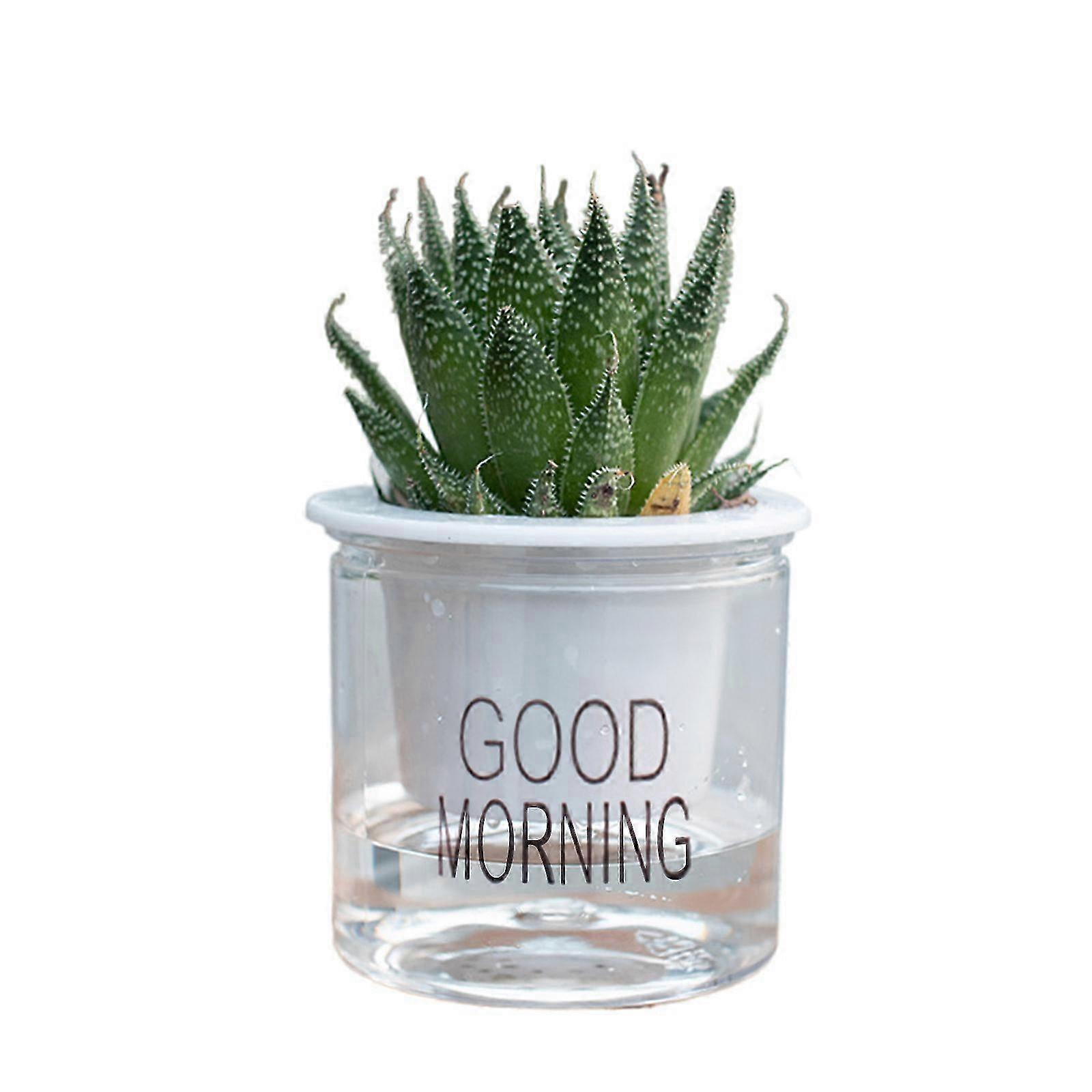 2026 Transparent Plastic Planter for Hydroponic Plants