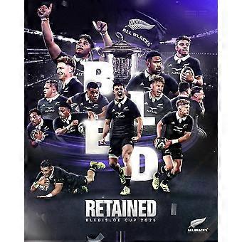 ALL BLACKS ZEALAND NZ RUGBY CHAMPION TEAM Stress Reliever Jigsaw Puzzle V0579