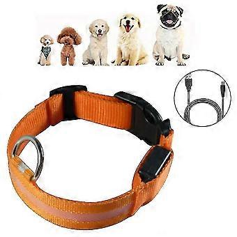 Led halsband, lichtgevende halsband, oplaadbaar en verstelbaar in lengte, waterdichte veiligheid huisdier halsband voor honden en katten