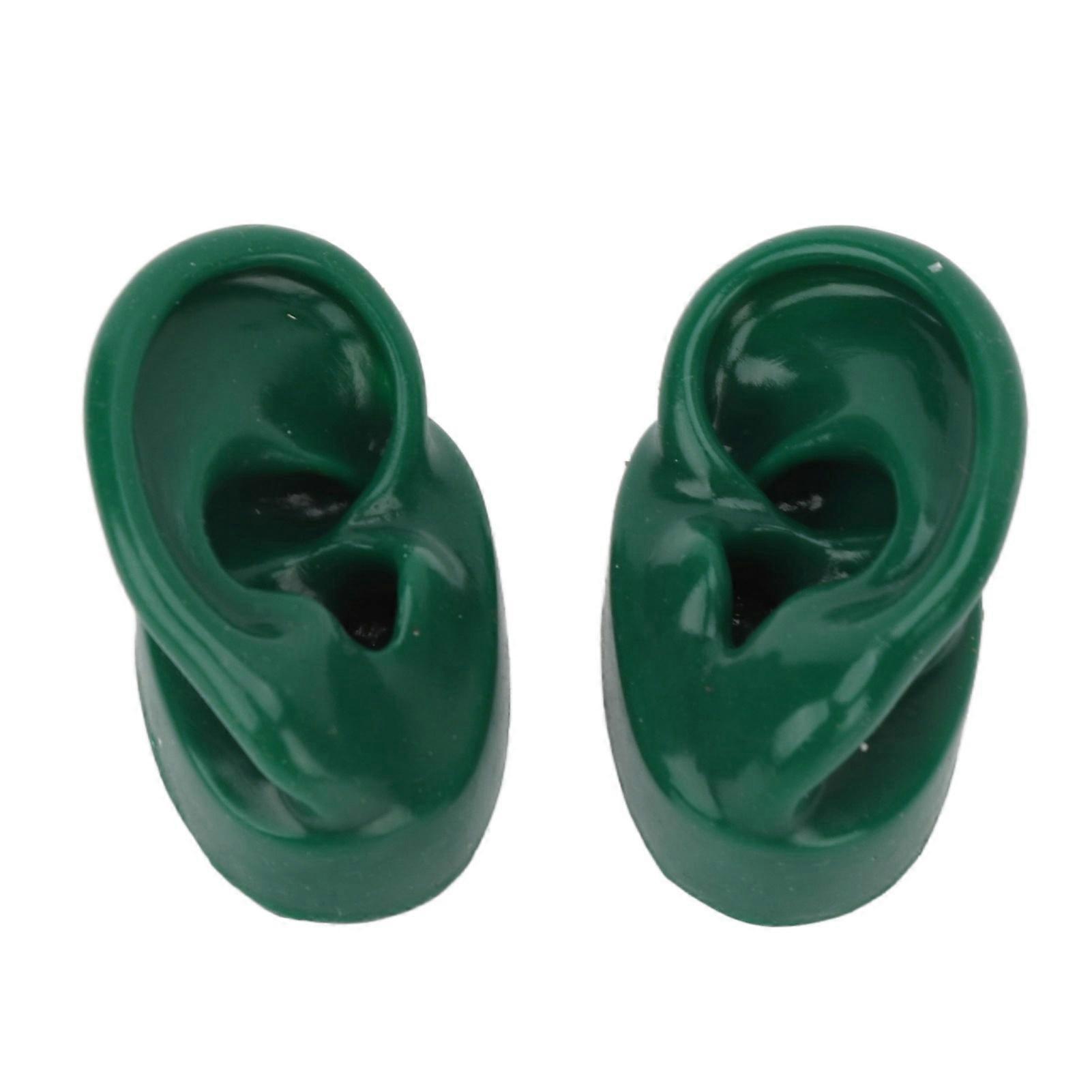 Simulated Pair Human Ear Model Display Soft Slick Water Resistance Model For Point Acupuncture Green