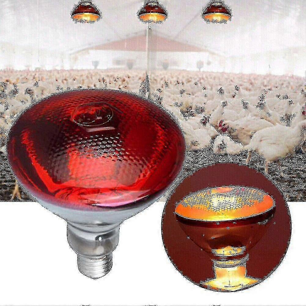 Poultry Heat Lamp Infra Red Heat Lamp Hatching Puppies Piglet Waterproof Bulb