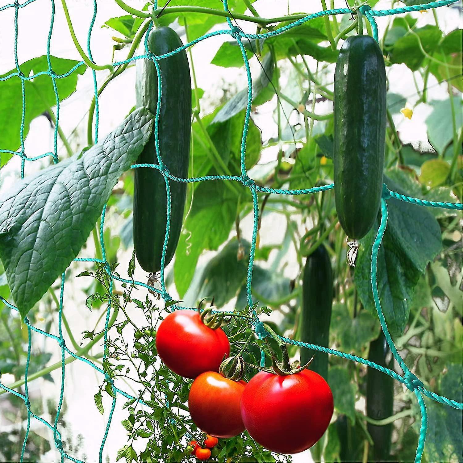 climbing net with a large mesh size for a particularly high-yield harvest of cucumbers, tomatoes and other vegetables - climbing aids for climbing pla