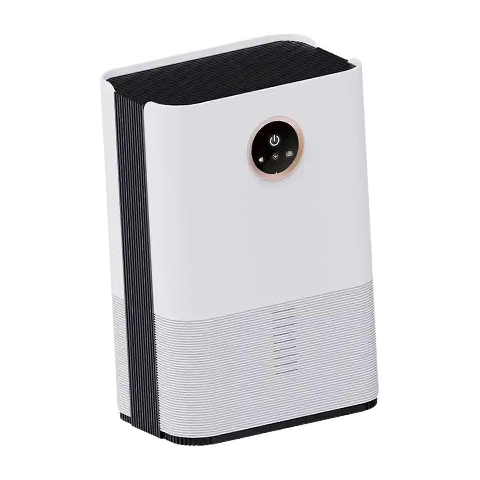 Deumidificatore per interni Deumidificatore portatile per soggiorno bagno appartamento