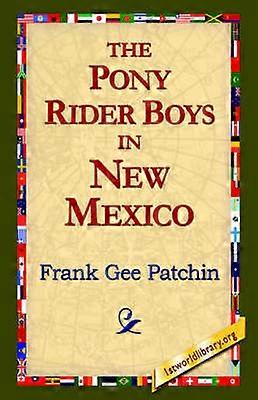 The Pony Rider Boys in New Mexico