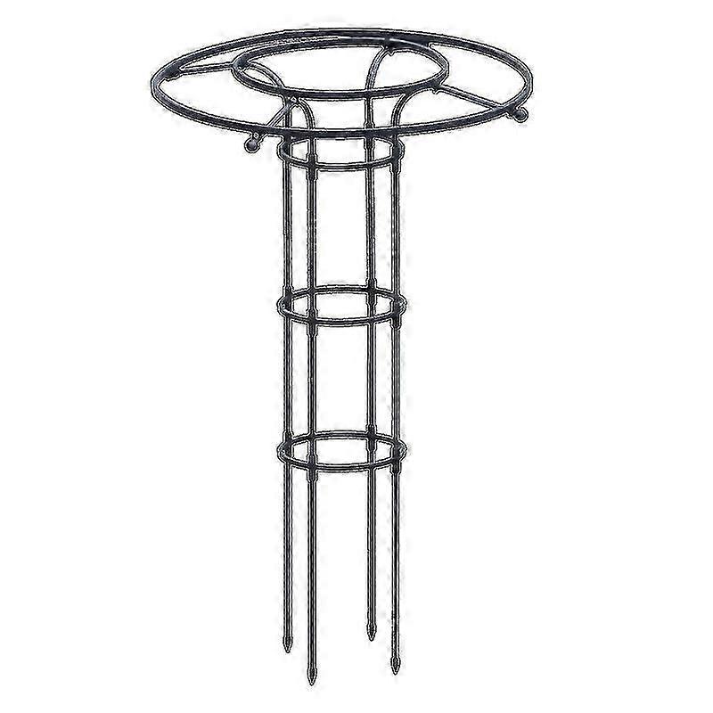 Tırmanma Bitkileri ve Çiçekler İçin Bahçe Trellis , Dış Mekan Kullanımı İçin Metal Bitki Trellis