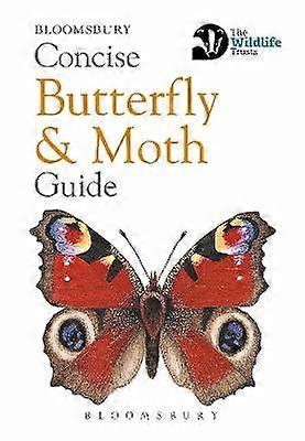 Ghid concis fluture și molii