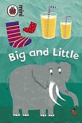 Early Learning: Big and Little