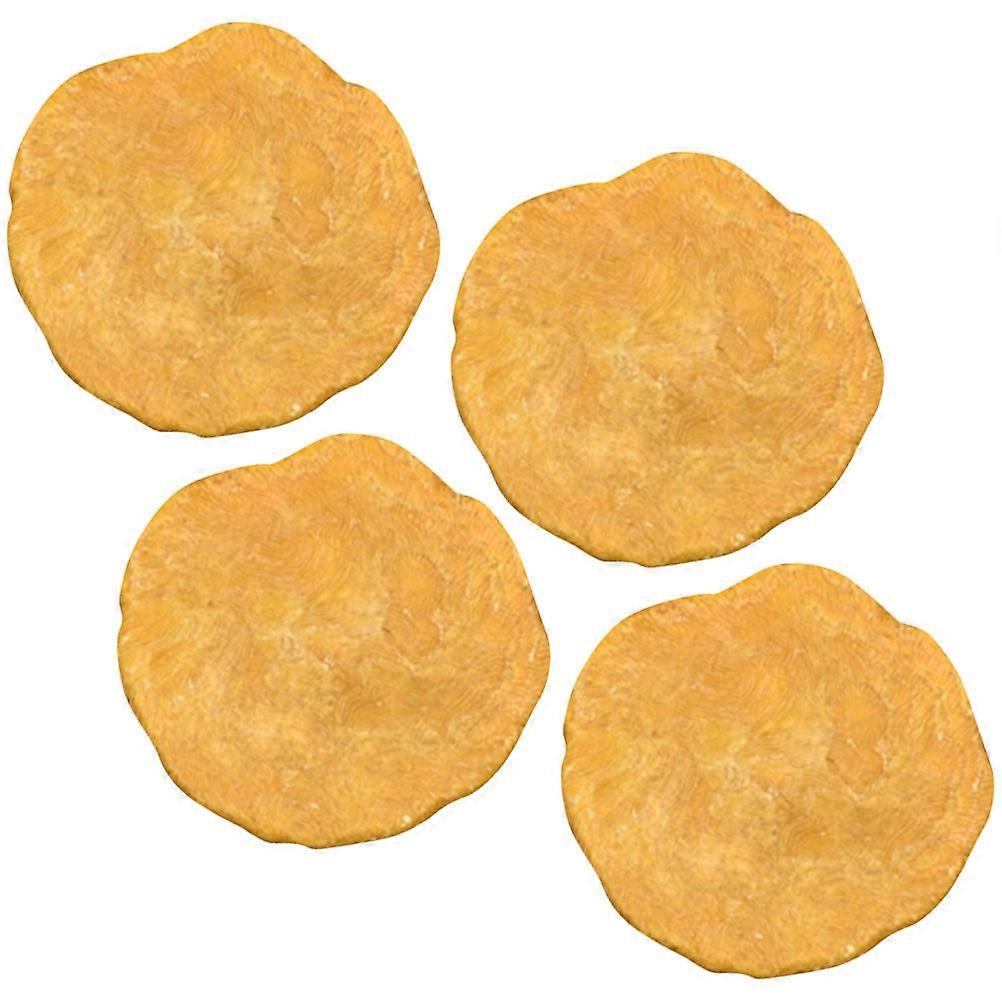 Currency Worm Nummulites Sample for Creative Egypt 4Pcs Set