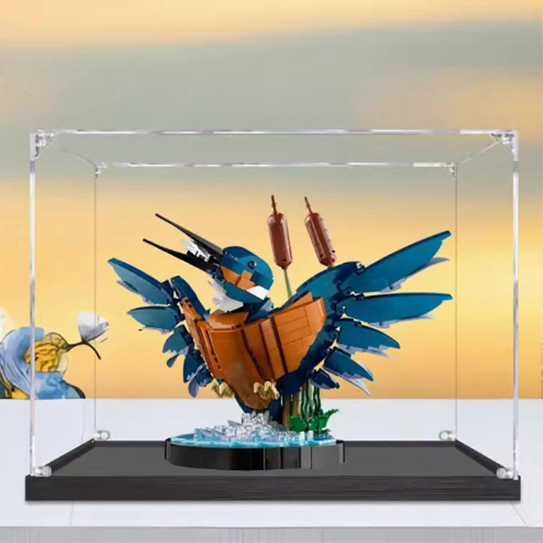 Acrylic Display Case for  10331 Kingfisher, Dustproof Clear Showcase with 360° View