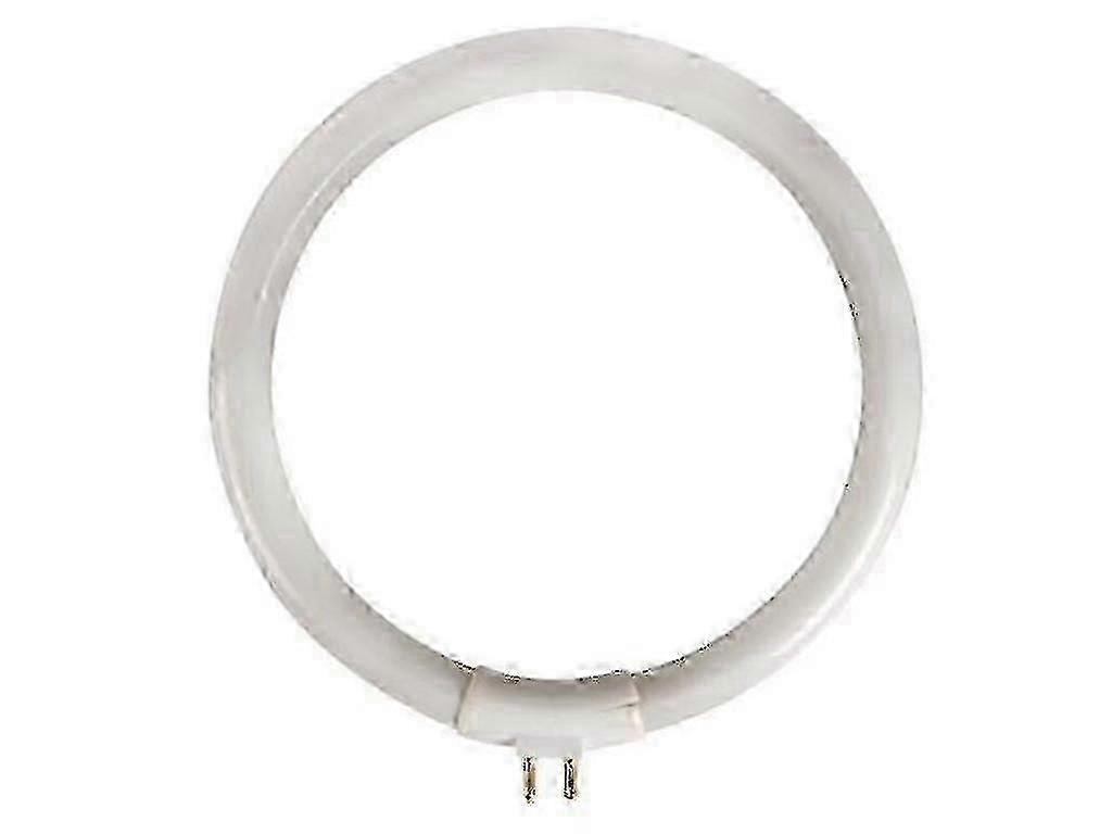 Cold White 12W Circular Fluorescent Lamp