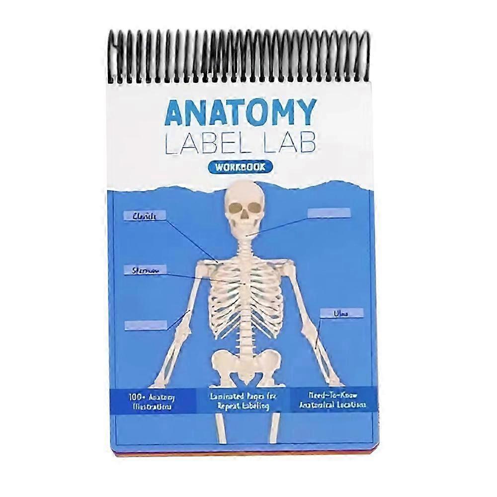 Student-Focused Anatomy Visual Learning Tool