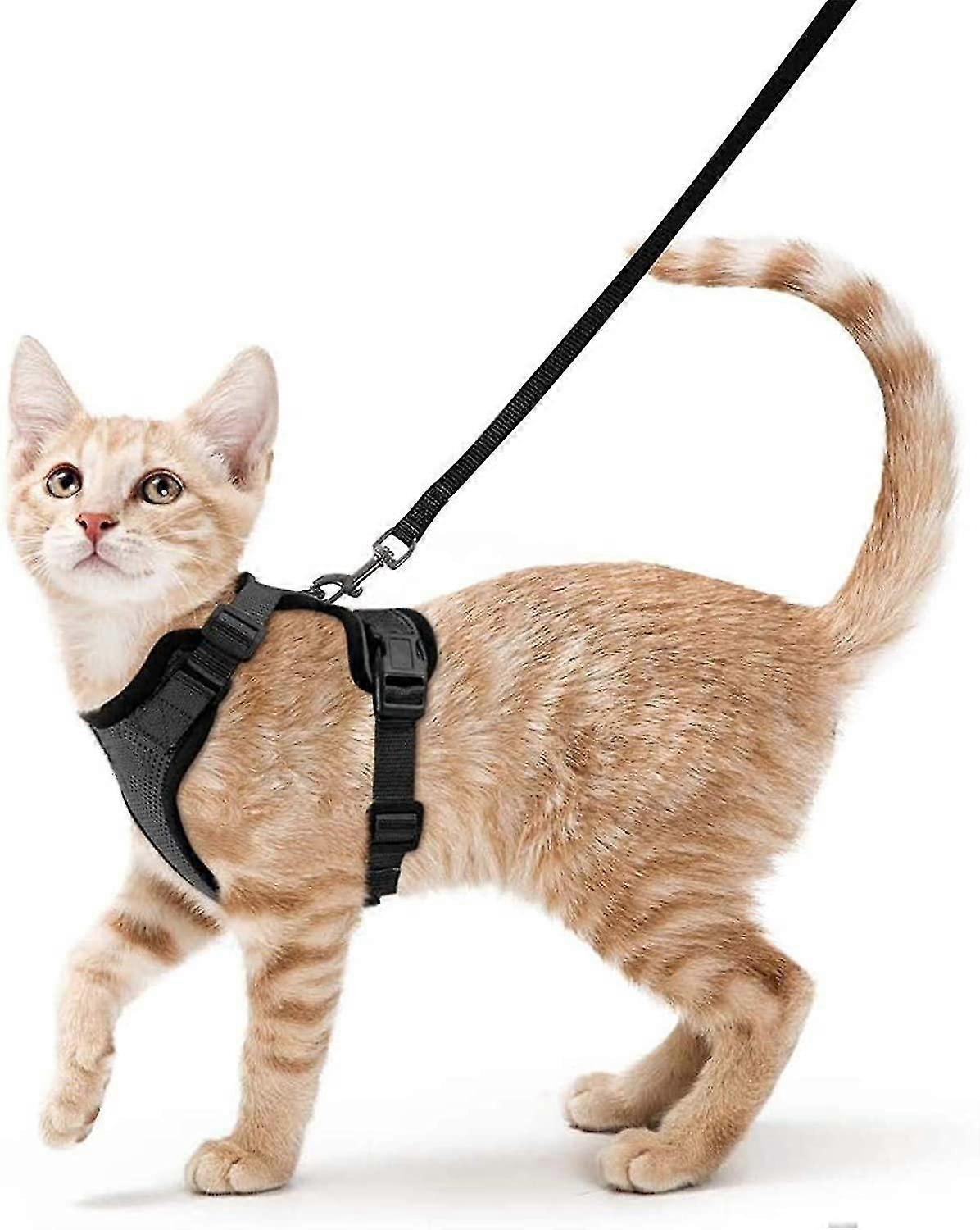 Cat Harness and Leash for Walking, Escape Proof Soft Adjustable Vest Harnesses for Cats, Easy Control Breathable Reflective Strips Jacket