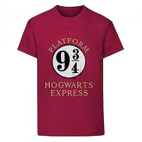 Harry Potter Childrens/Kids Hogwarts Express T-Shirt
