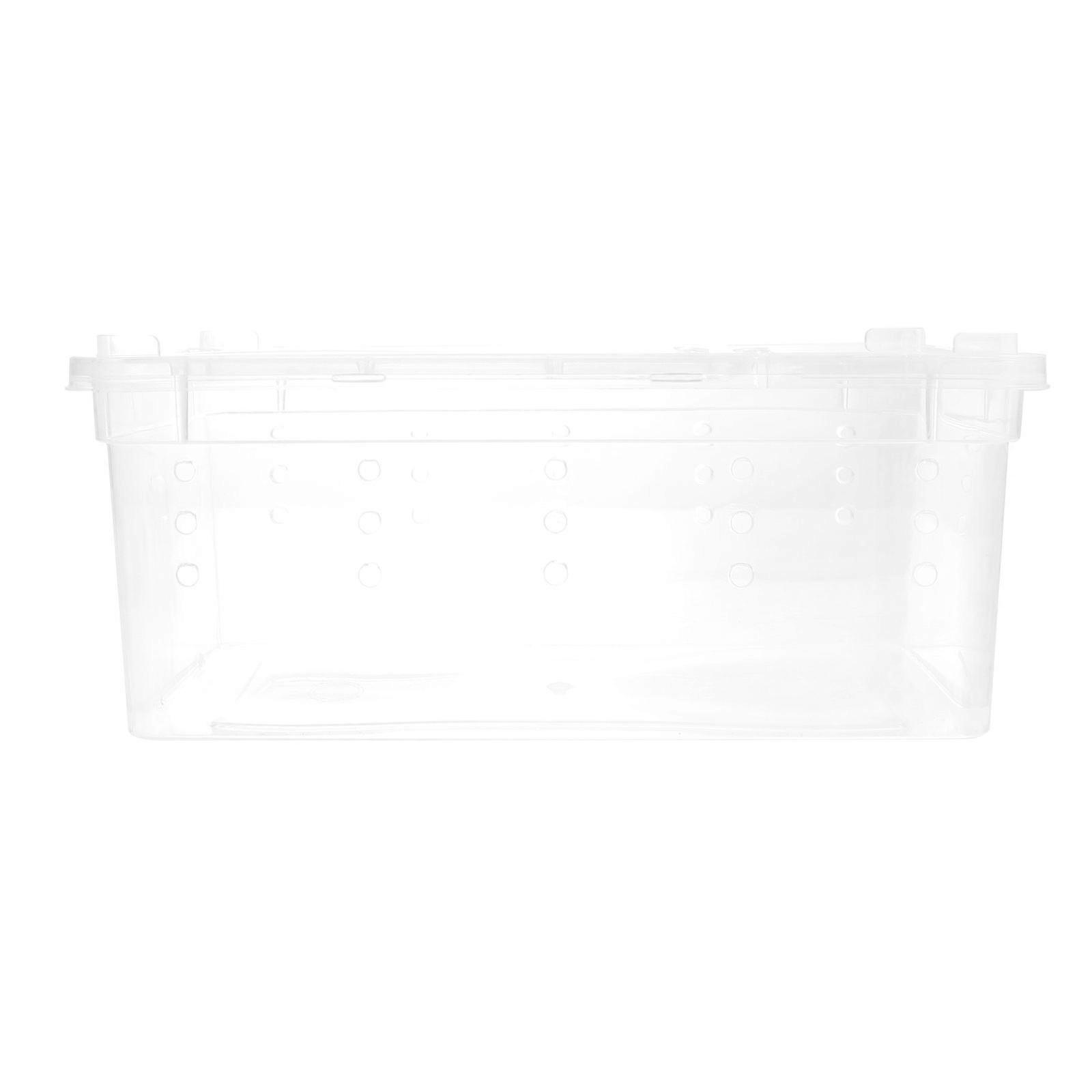 1pc Spiders Lizard Scorpion Gecko Beetle Insect Feeding Box Feeding Holder