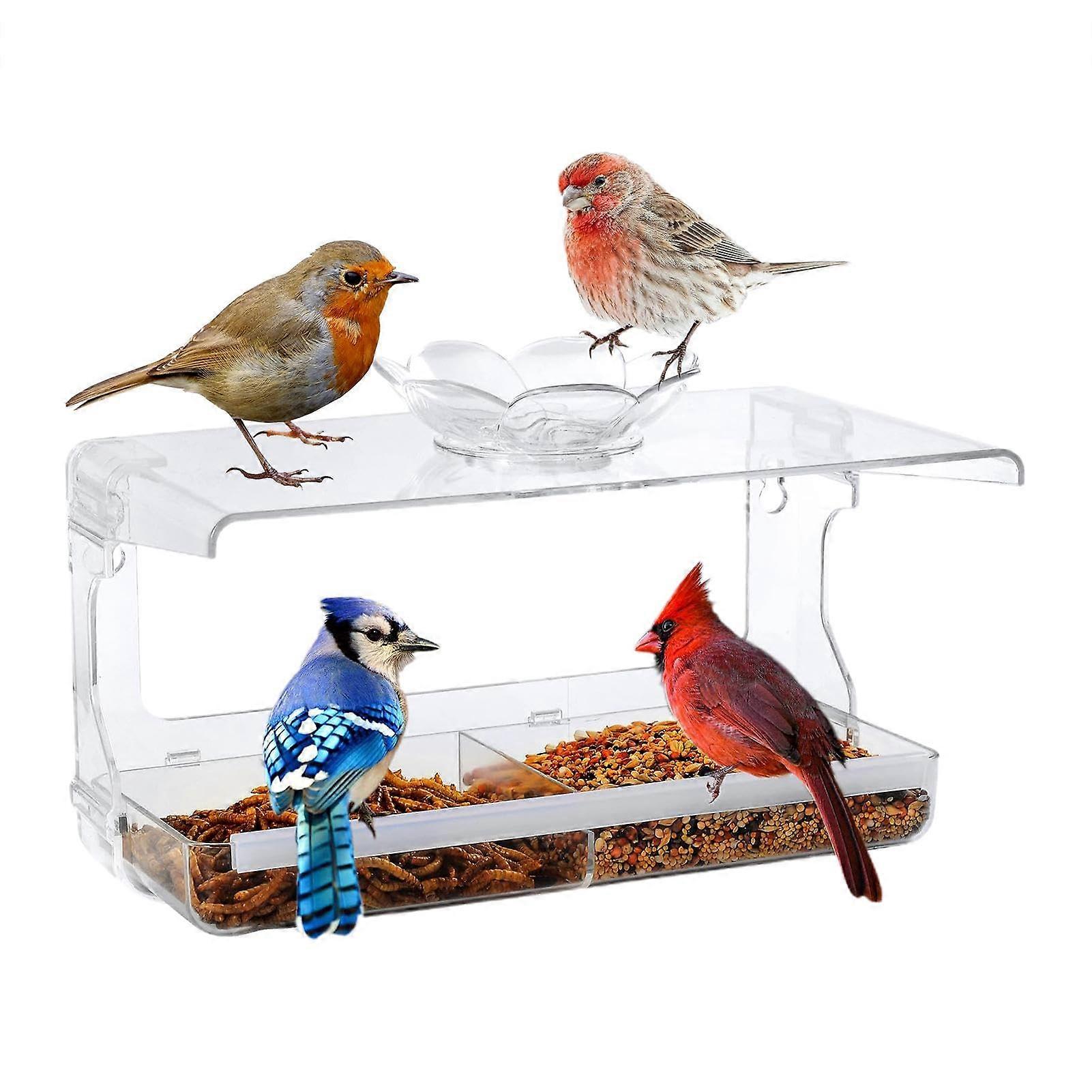 Window bird feeder – Strong suction cup, clear, squirrelproof, large capacity
