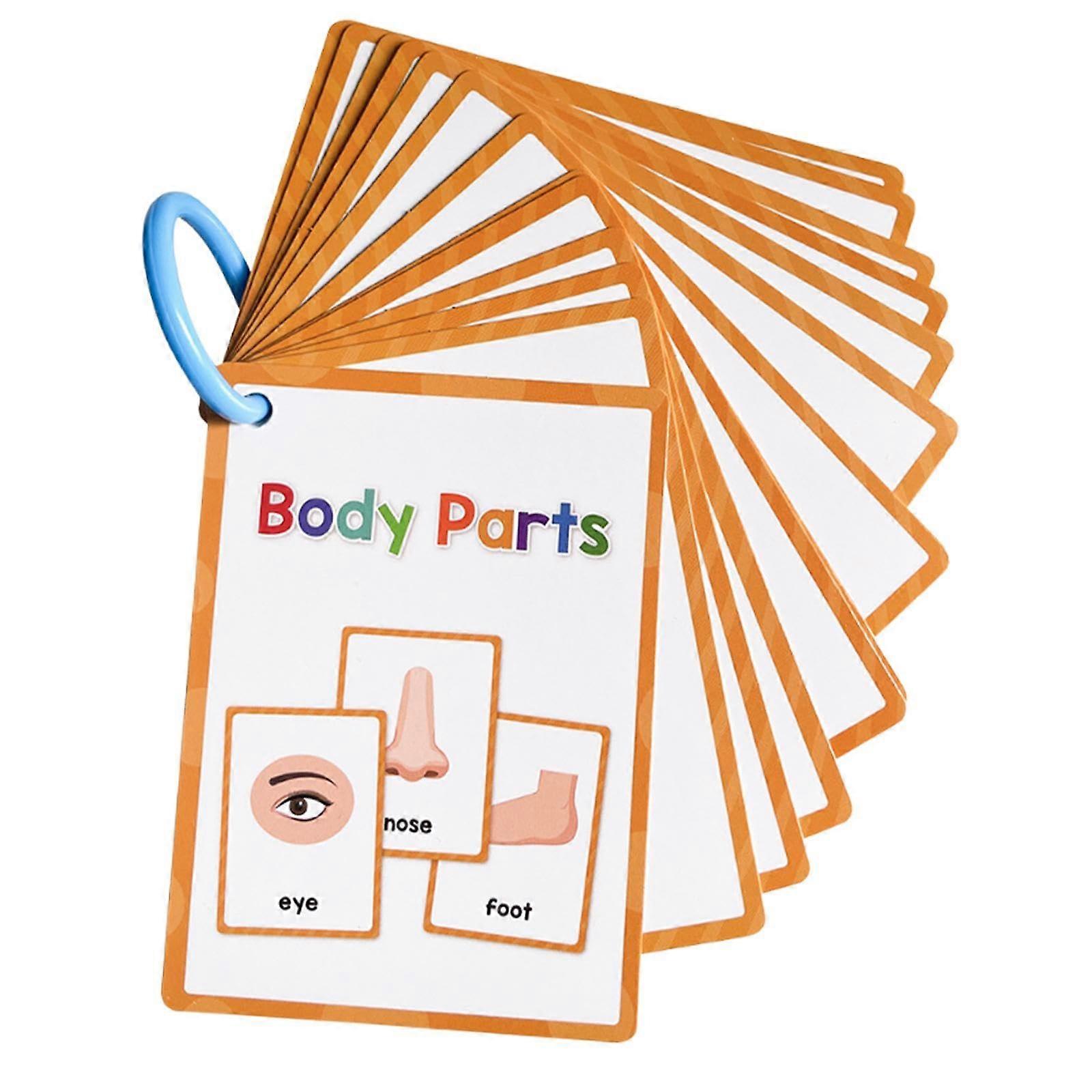 Body Parts Flash Cards For Classroom Durable Cardstock Standard Size Colorful Illustrations Kindergarten Learning Toy