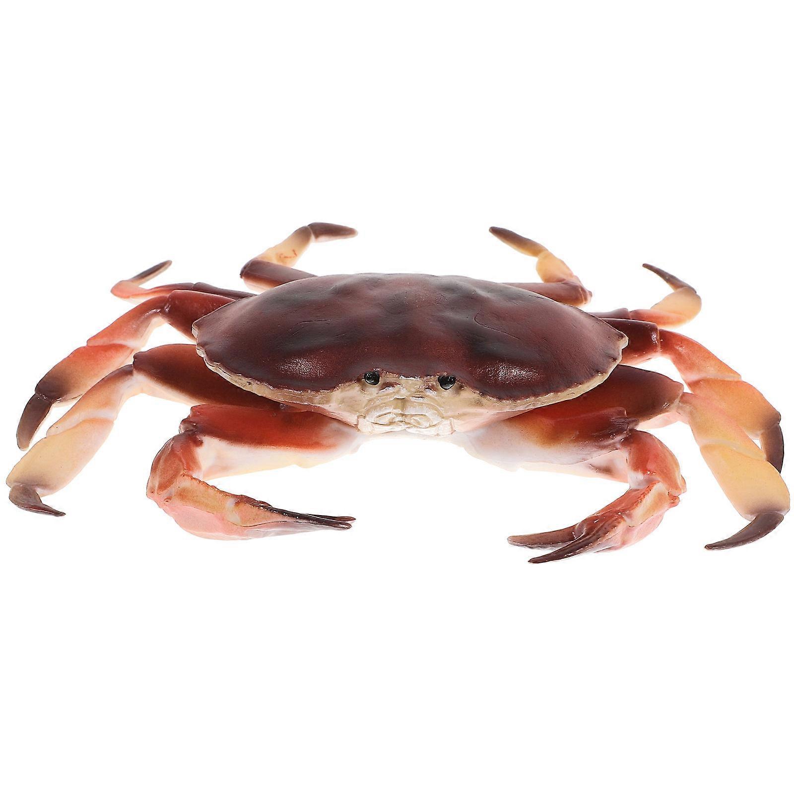 Realistic Plastic Crab Figurine for Educational Use, Home Decor, and Cognitive Learning