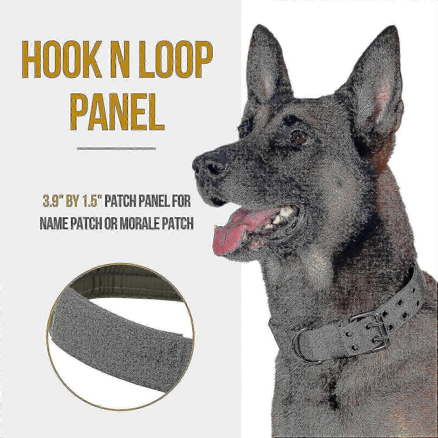 w Adjustable Dog Collar for Dogs Size L