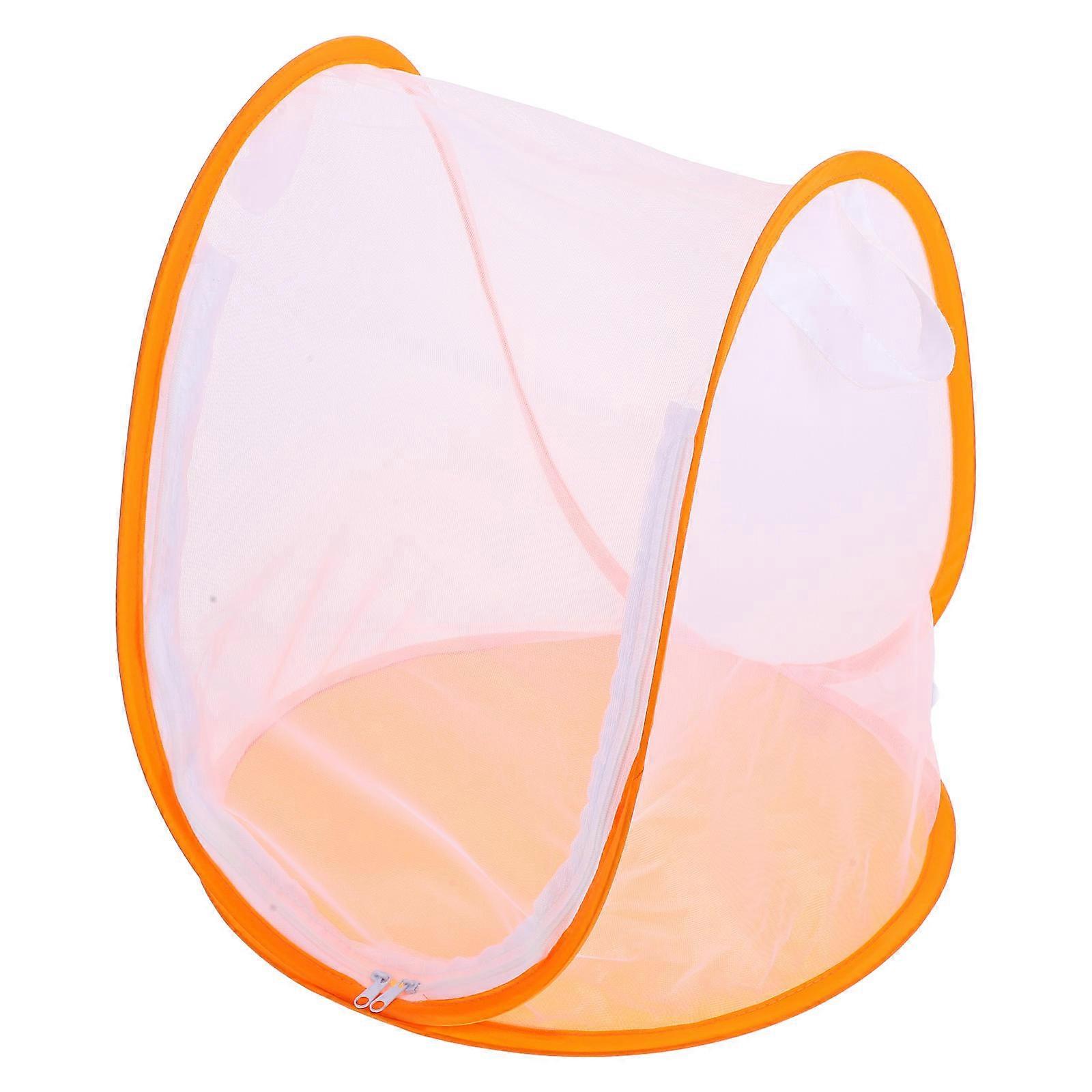 Collapsible Butterfly Cage for Scientific Insect Study and Habitat Multi