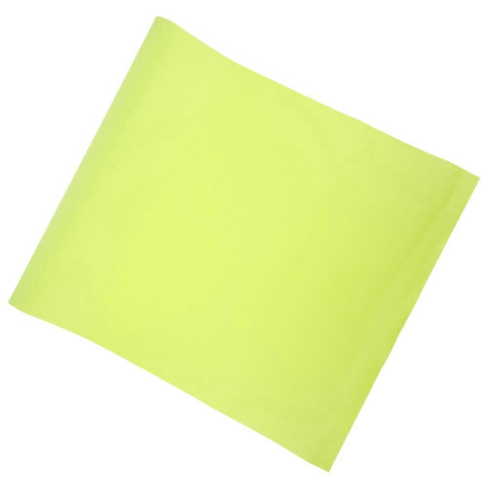 Reptile Carpet Terrarium Liner for Bearded Dragon Substrate Mat