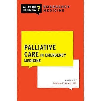 Palliativ vård inom akutmedicin (VAD GÖR JAG NU AKUTMEDICIN)