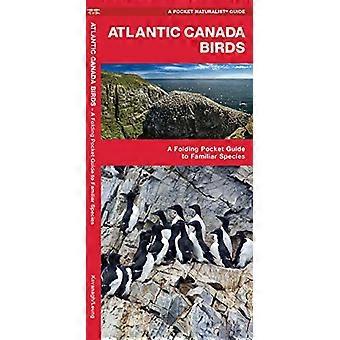 Atlantic Canada Birds: A Folding Pocket Guide to Familiar Species (Wildlife and Nature Identification)