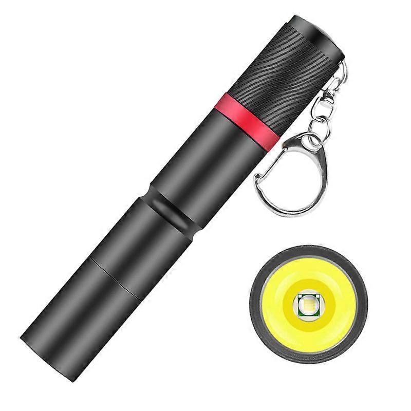 Mini LED Flashlight Keychain Portable Pocket Torch Light