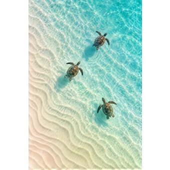 Sea Turtles Over Sand Ocean Tropical Coastal jigsaw puzzle SIO1662