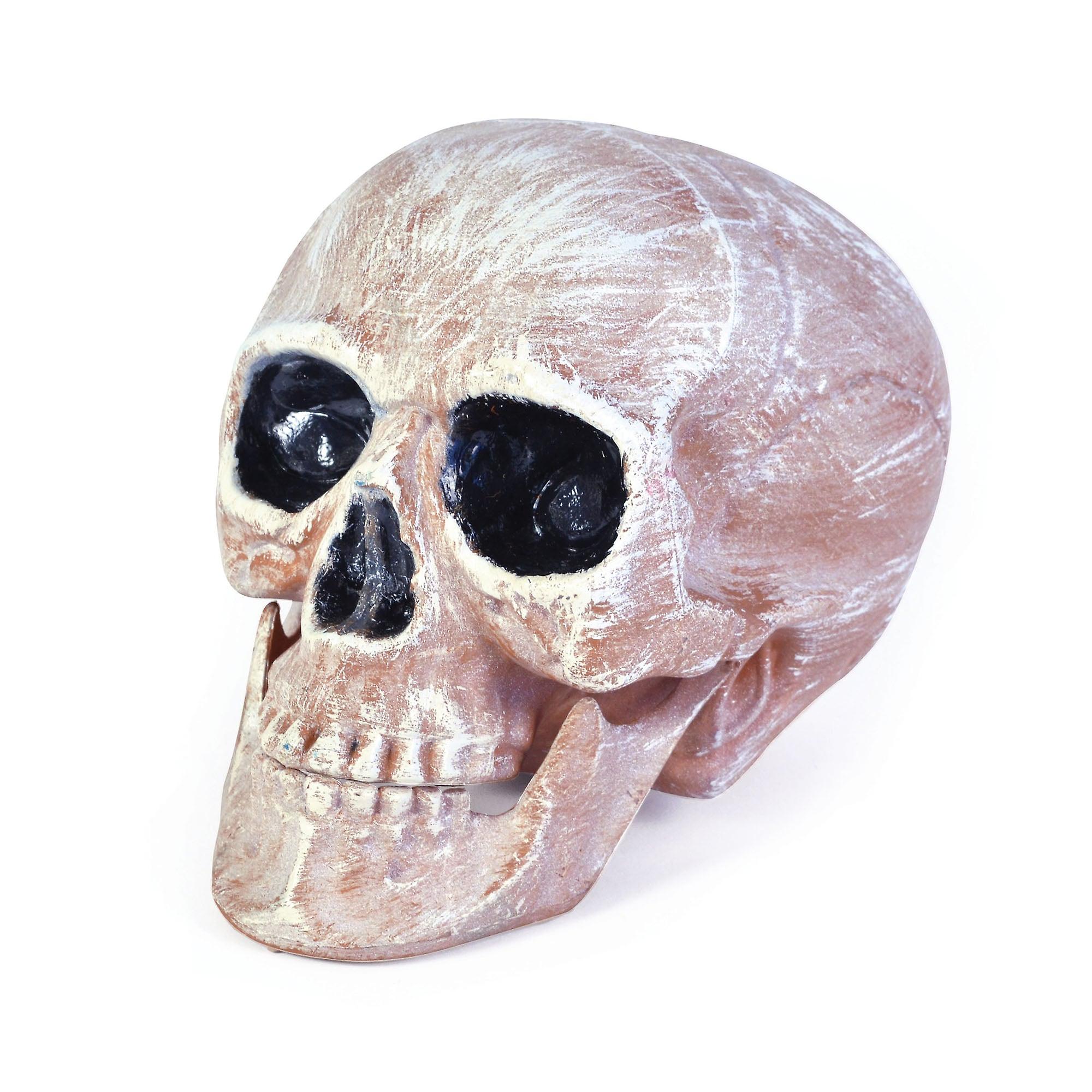 Skull Head Realistic Halloween Items Unisex Hi266