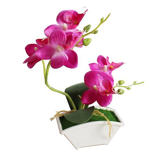 Durable Artificial Butterfly Orchid Vivid Vivid Color Realistic