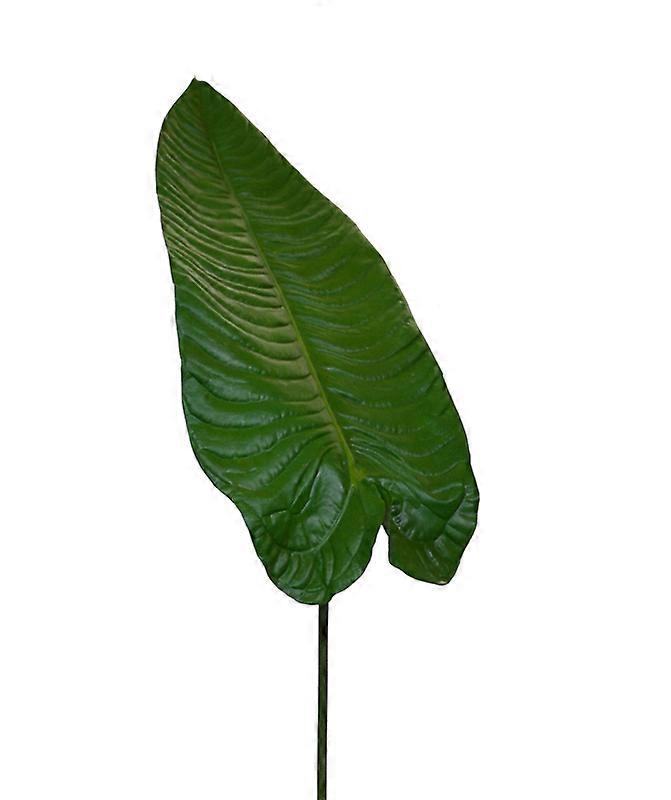Alocasia leaf