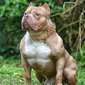 2" Breite Spiked Nieten Hundehalsband fr mittelgroe Hunde Pitbull  Deutscher Schferhund Pu Leder Haustierhalsbnder Cool & Mode | Fruugo DE