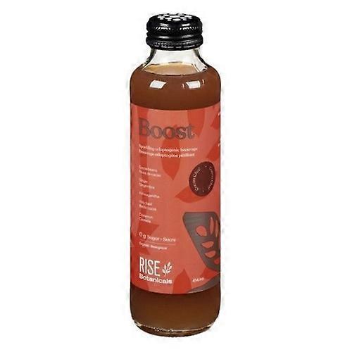 Rise Cocoa And Chai Sparkling Adaptogenic Beverage, 414 Ml (Case Of 12)