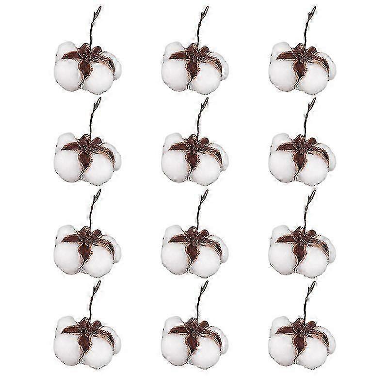 12pcs Practical Dried Cotton Balls for Various Uses, Natural Cotton Flowers for Crafts and Decoration
