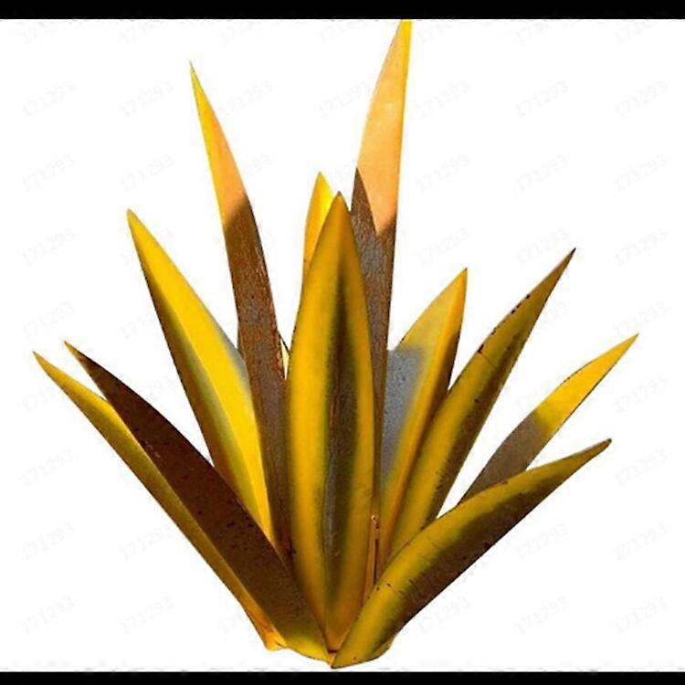 Tequila Decoração de Casa 35cm